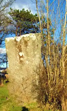 Stone thrown by Fionn McCumhaill